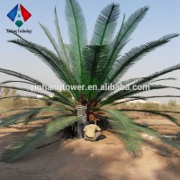 Telecom Tower Used Artificial Palm Tree Leaf